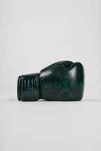 Boxer Athletics Boxing Gloves